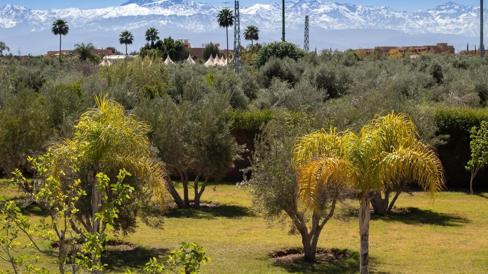 Villa Jardins D'Isa Lagouassem Morocco