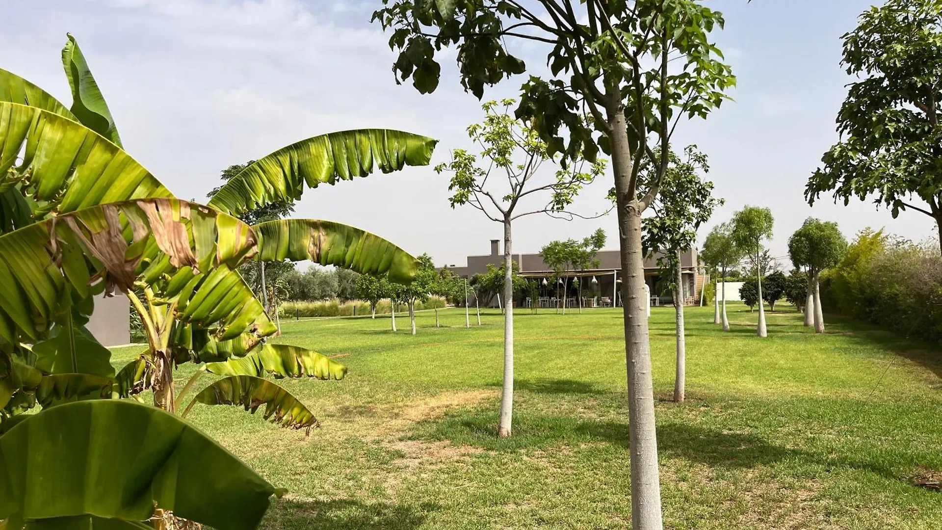 Villa Jardins D'Isa Lagouassem