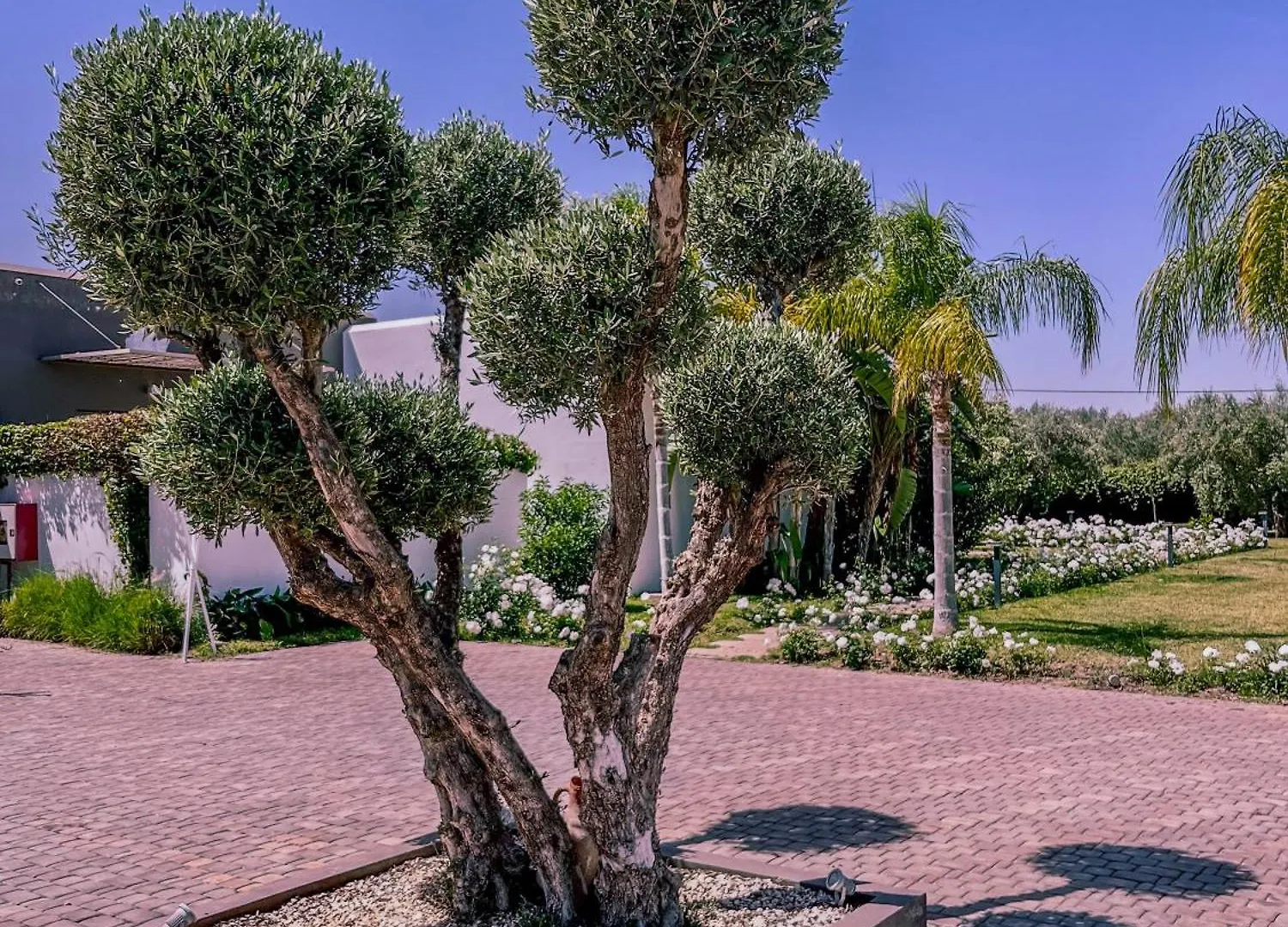 Bed & Breakfast Villa Jardins D'Isa Lagouassem